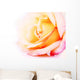 Delicate Yellow and Pink Wall Decal