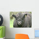 Galloway Pasture Wall Decal