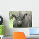 Galloway Pasture Wall Decal