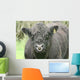 Galloway Pasture Wall Decal