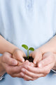 Seedling Hands Wall Decal