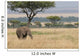 Elephant Wall Decal Design 3