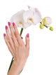 Hand with Pink Manicure Wall Decal