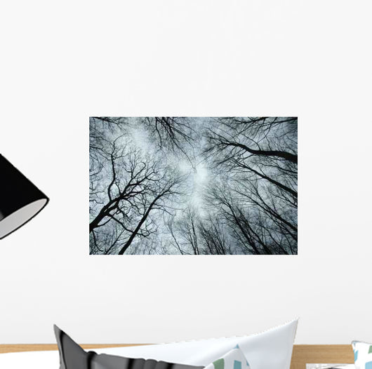 Overhead Wall Decal