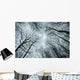 Overhead Wall Decal