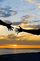 Reaching for Help Wall Decal