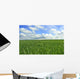 Prairie Champ Wall Decal