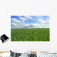 Prairie Champ Wall Decal