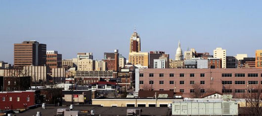 Lansing Michigan Skyline Wall Decal