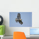 Perched Red-tailed Hawk Wall Decal