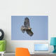 Perched Red-tailed Hawk Wall Decal