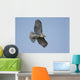 Perched Red-tailed Hawk Wall Decal