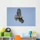 Perched Red-tailed Hawk Wall Decal