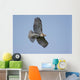 Perched Red-tailed Hawk Wall Decal