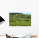 Vineyard France Rows Wine Wall Decal