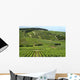 Vineyard France Rows Wine Wall Decal