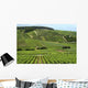Vineyard France Rows Wine Wall Decal