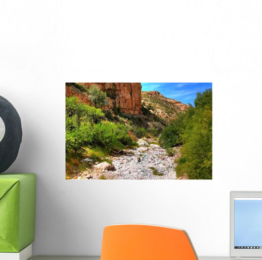 Dry River Wall Decal