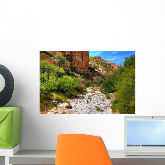 Dry River Wall Decal