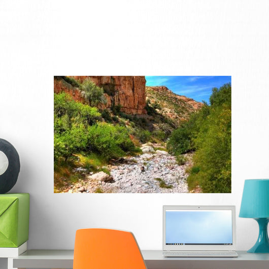 Dry River Wall Decal