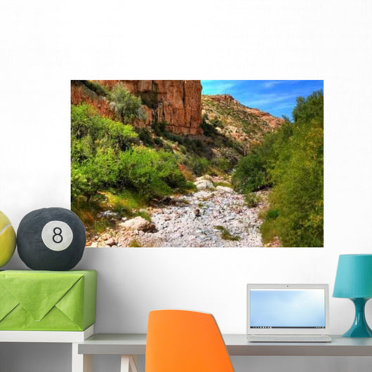 Dry River Wall Decal