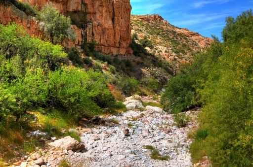Dry River Wall Decal