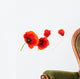 Image Fleurs Coquelicots Isola Wall Decal