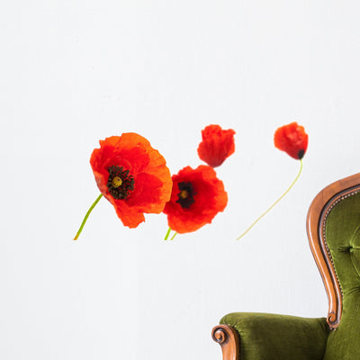 Image Fleurs Coquelicots Isola Wall Decal shown on a wall
