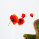 Image Fleurs Coquelicots Isola Wall Decal