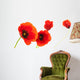 Image Fleurs Coquelicots Isola Wall Decal