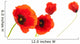 Image Fleurs Coquelicots Isola Wall Decal
