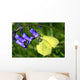 Lemon Butterfly Flower Bellflower Wall Decal