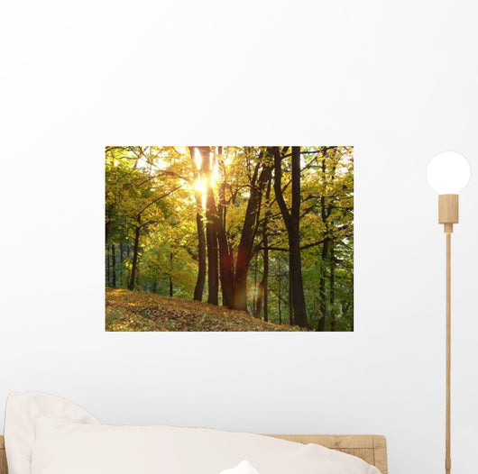 B2 Wall Decal