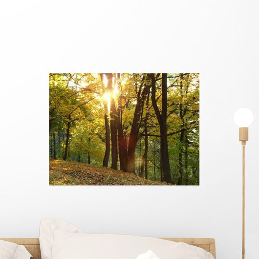 B2 Wall Decal