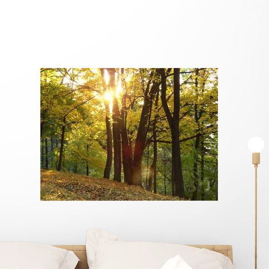 B2 Wall Decal