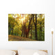 B2 Wall Decal