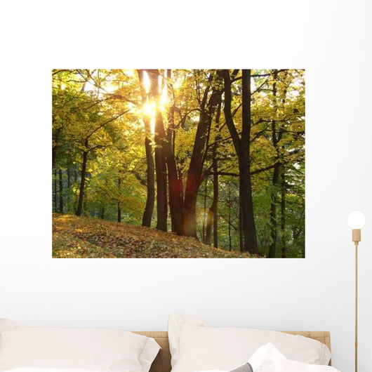 B2 Wall Decal