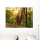 B2 Wall Decal