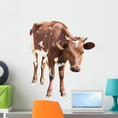 Cow Calf White Wall Decal shown on a wall