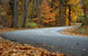 Fall Road Wall Decal