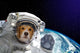 Dog Astronaut Space Wall Decal