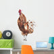 Rooster Watercolor Painting Wall Decal