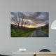 Bieszczady Mountains Wall Decal
