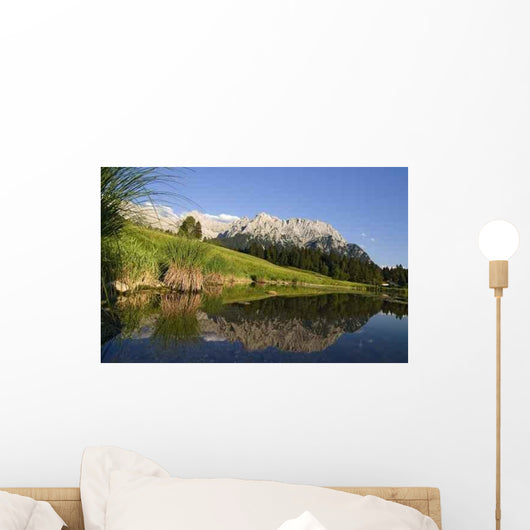 Schmalensee Wall Decal