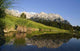Schmalensee Wall Decal