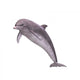 3D Dolphin Wall Decal