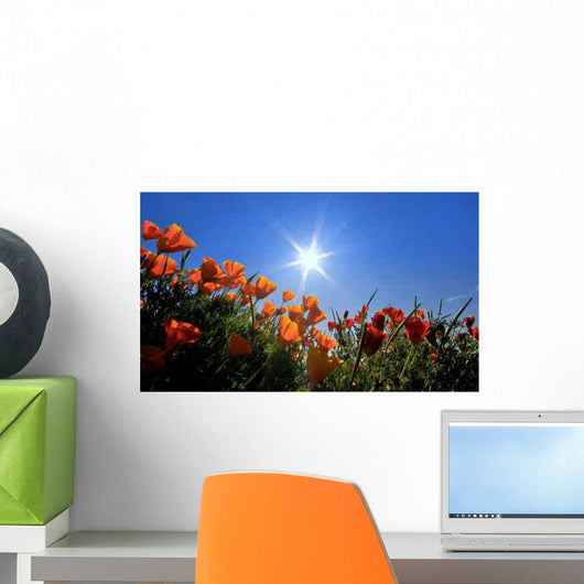 Fleurs Des Champs Oranges Wall Decal