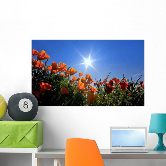 Fleurs Des Champs Oranges Wall Decal