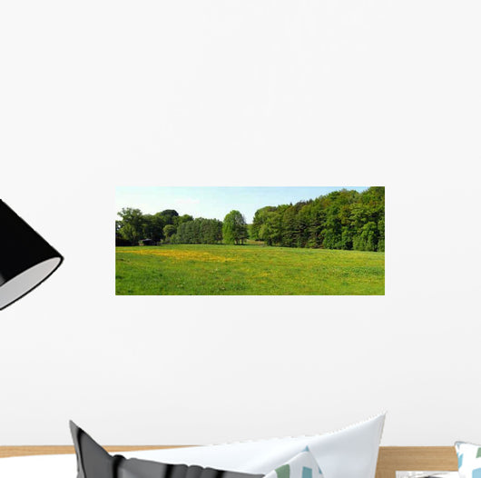 Summer Meadow Wall Decal Design 1