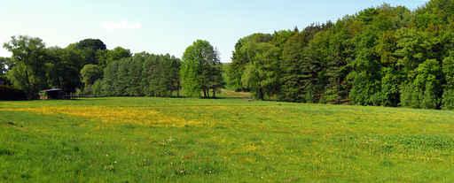 Summer Meadow Wall Decal Design 1